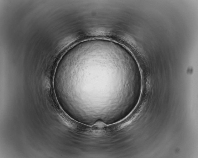 X0000098041209200804181247