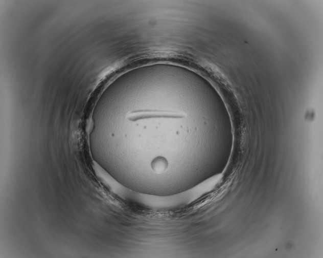 X0000098041210200804181247