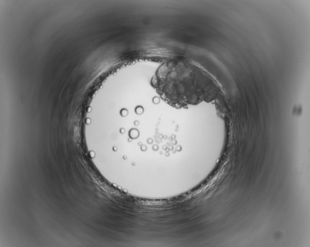 X0000098041211200804181247