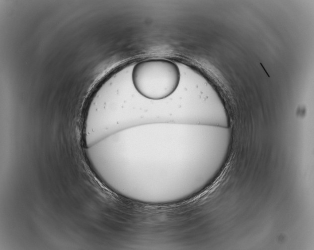 X0000098041212200804181247