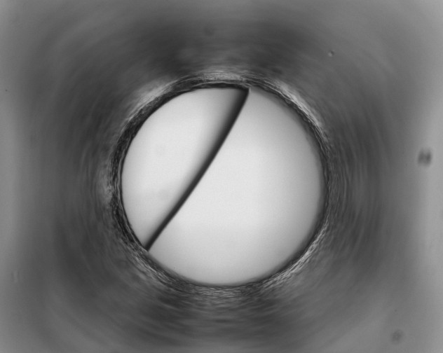 X0000098041213200804181247