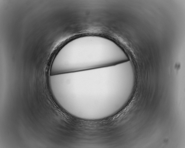 X0000098041214200804181247