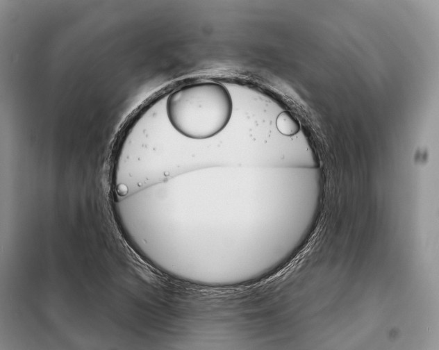 X0000098041216200804181247