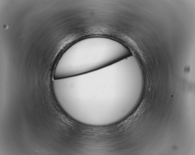 X0000098041218200804181247