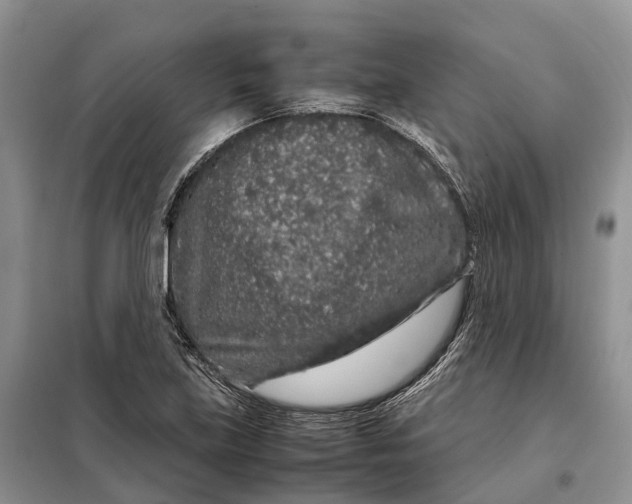 X0000098041219200804181247