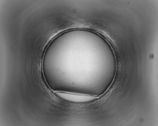 X0000098041220200804181247