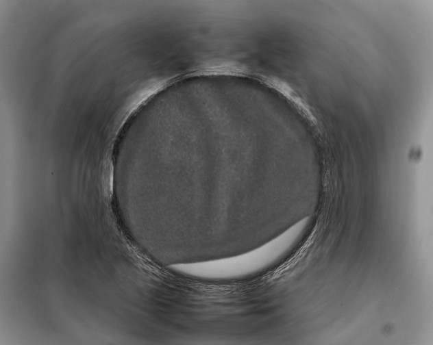 X0000098041221200804181247