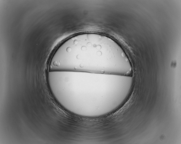 X0000098041222200804181247