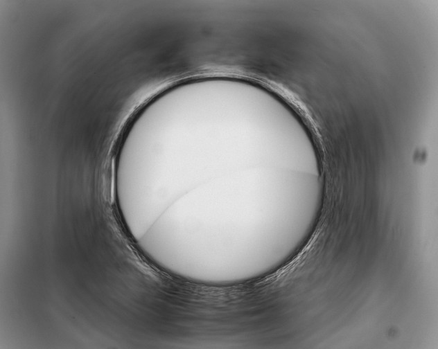 X0000098041223200804181247