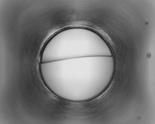 X0000098041224200804181247