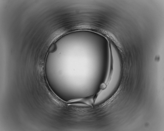 X0000098041225200804181247