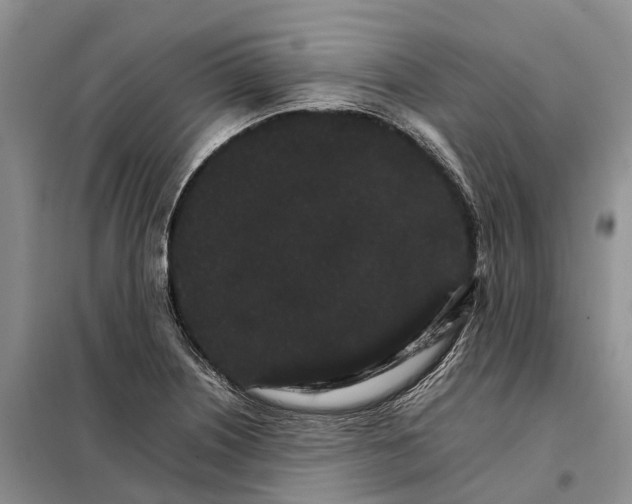 X0000098041226200804181247