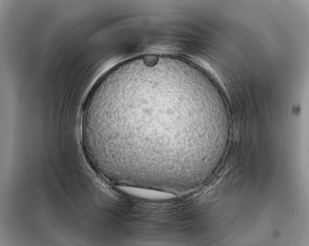 X0000098041227200804181247