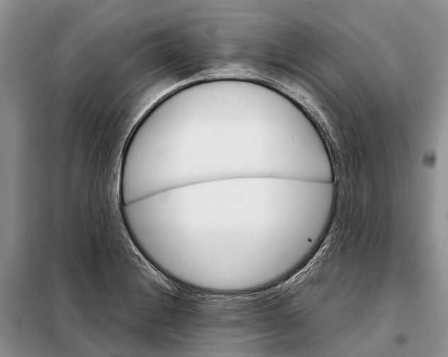 X0000098041228200804181247