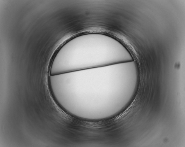 X0000098041229200804181247