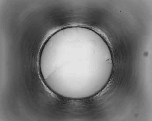 X0000098041231200804181247