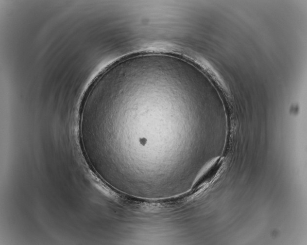 X0000098041232200804181247