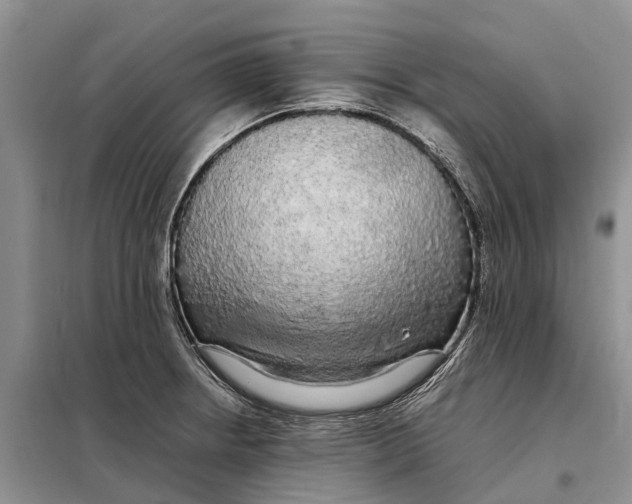 X0000098041234200804181247