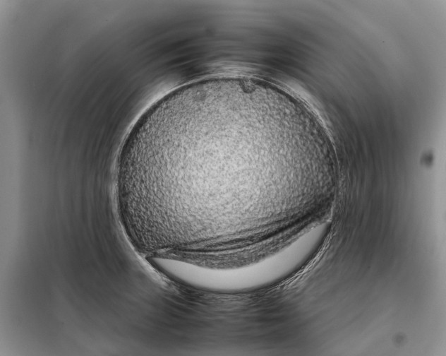 X0000098041235200804181247