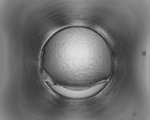 X0000098041236200804181247