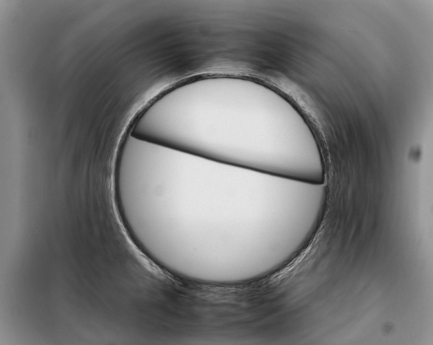 X0000098041237200804181247