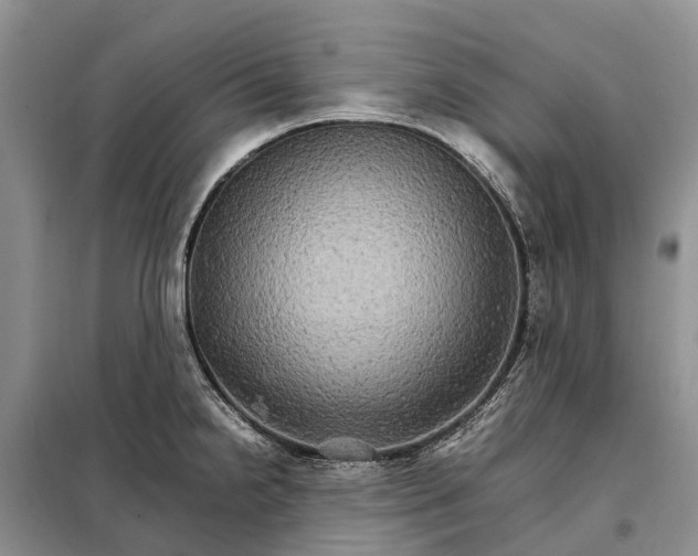 X0000098041238200804181247