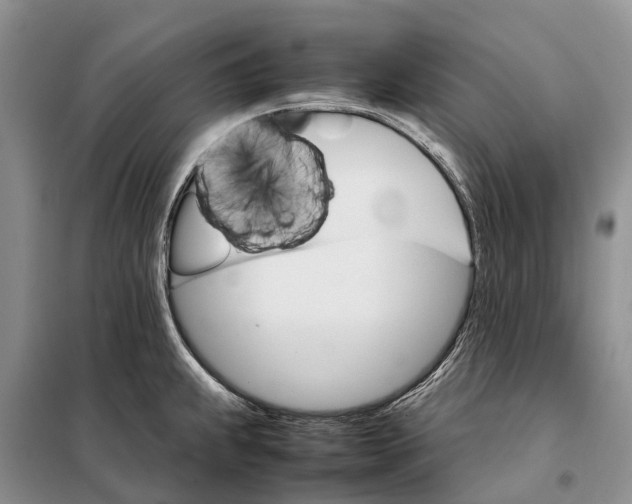 X0000098041239200804181247