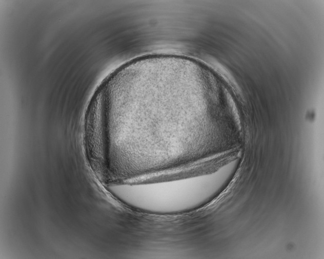 X0000098041240200804181247