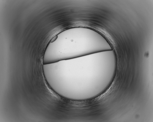 X0000098041241200804181247