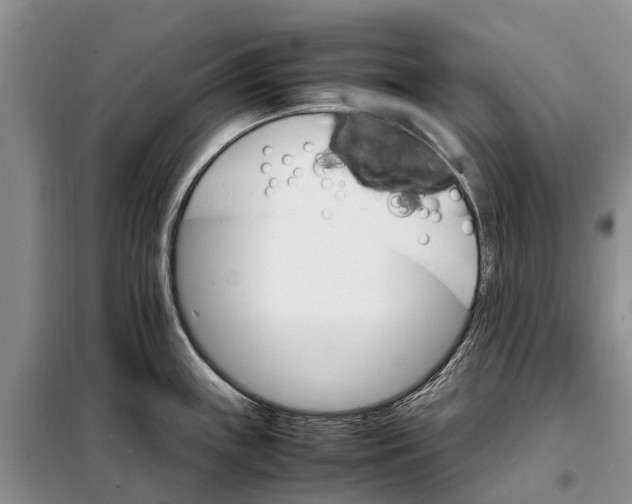 X0000098041243200804181247