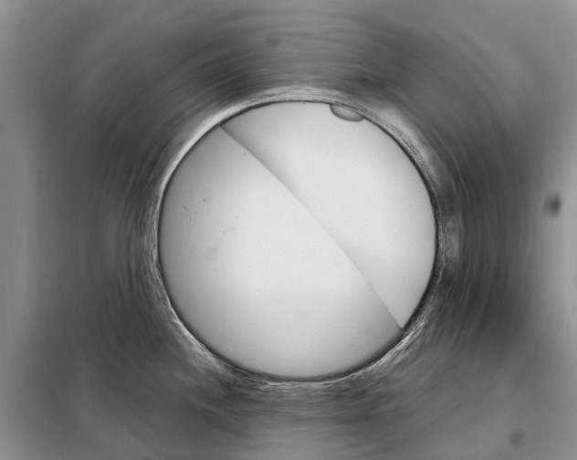 X0000098041244200804181247