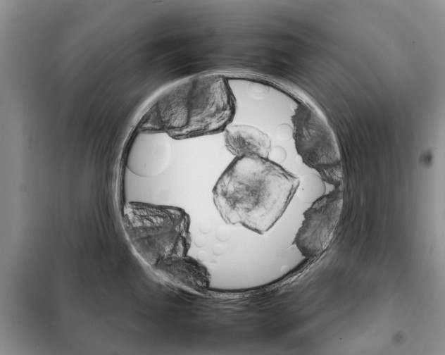 X0000098041245200804181247