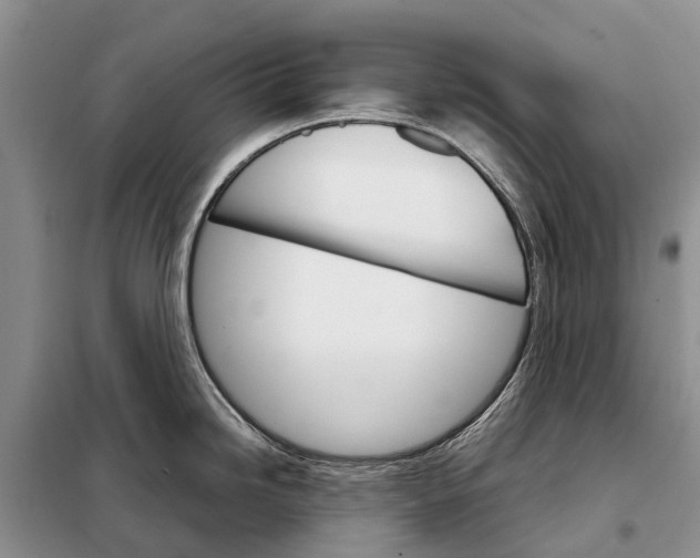 X0000098041246200804181247