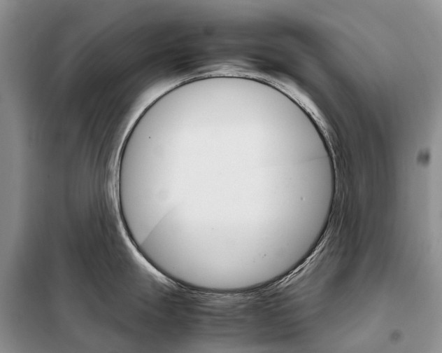 X0000098041247200804181247