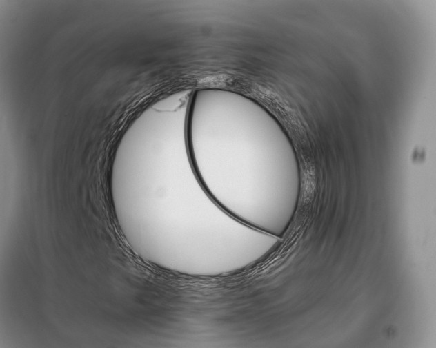 X0000098041249200804181247