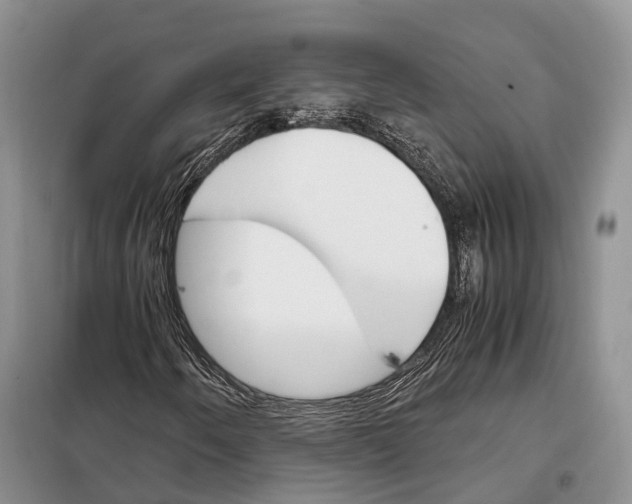 X0000098041250200804181247