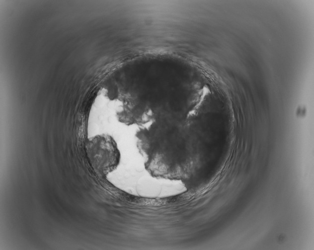 X0000098041251200804181247