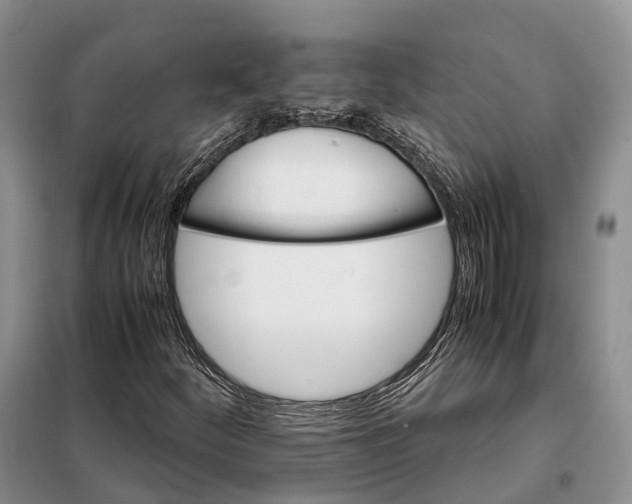 X0000098041252200804181247