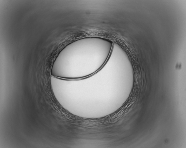 X0000098041253200804181247