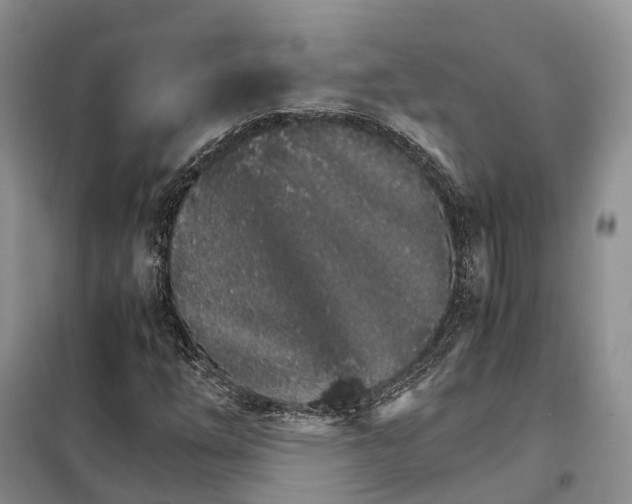 X0000098041254200804181247