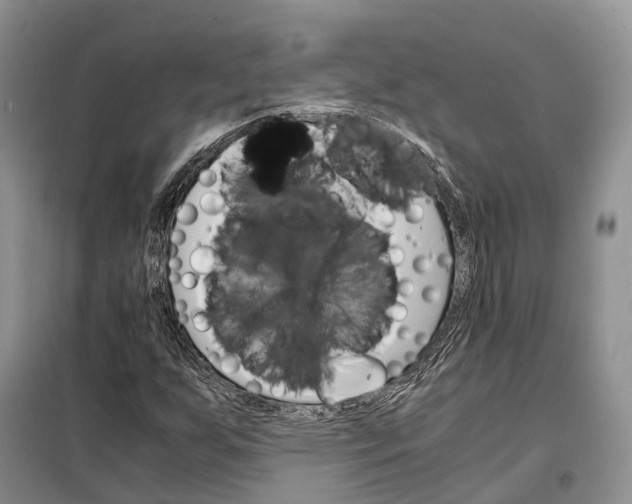 X0000098041255200804181247