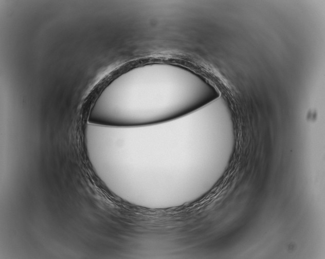 X0000098041256200804181246