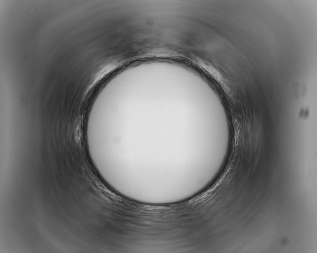 X0000098041258200804181246