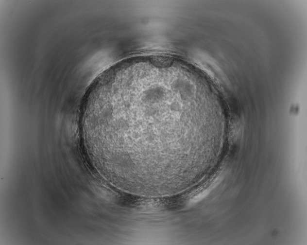 X0000098041259200804181246