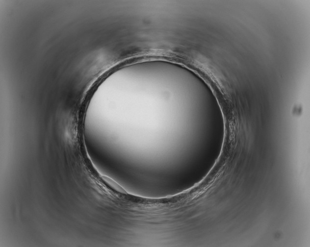 X0000098041260200804181246