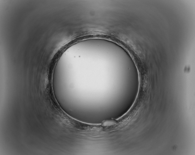 X0000098041261200804181246