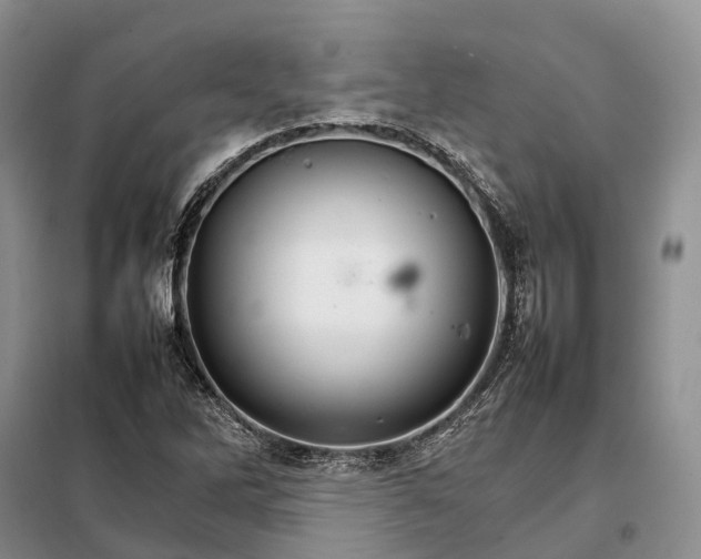 X0000098041262200804181246