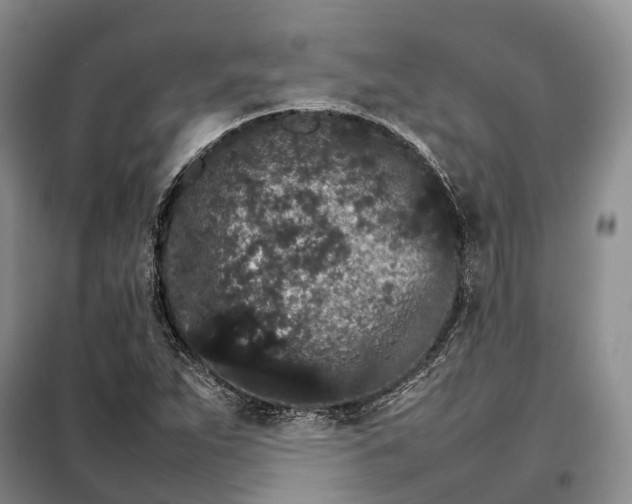 X0000098041263200804181246