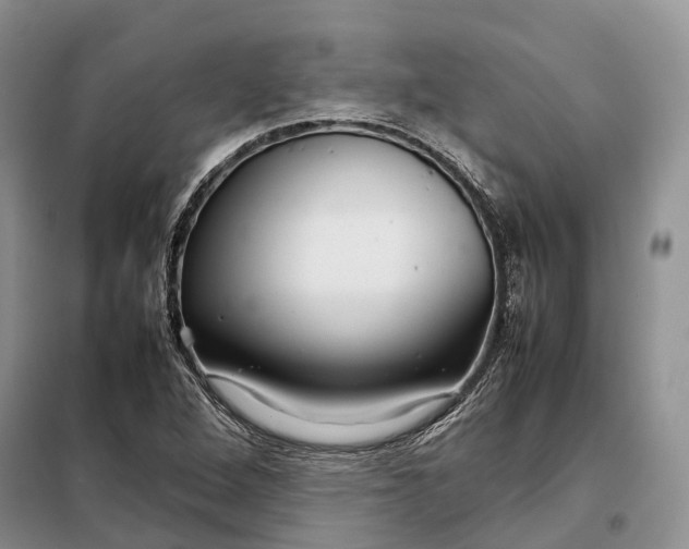 X0000098041264200804181246