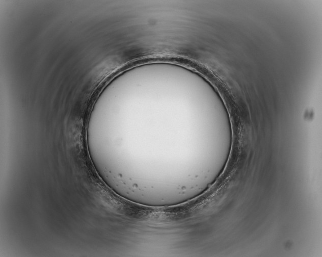 X0000098041265200804181246